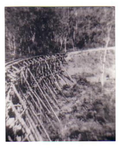 Pack of cards bridge near Hintock