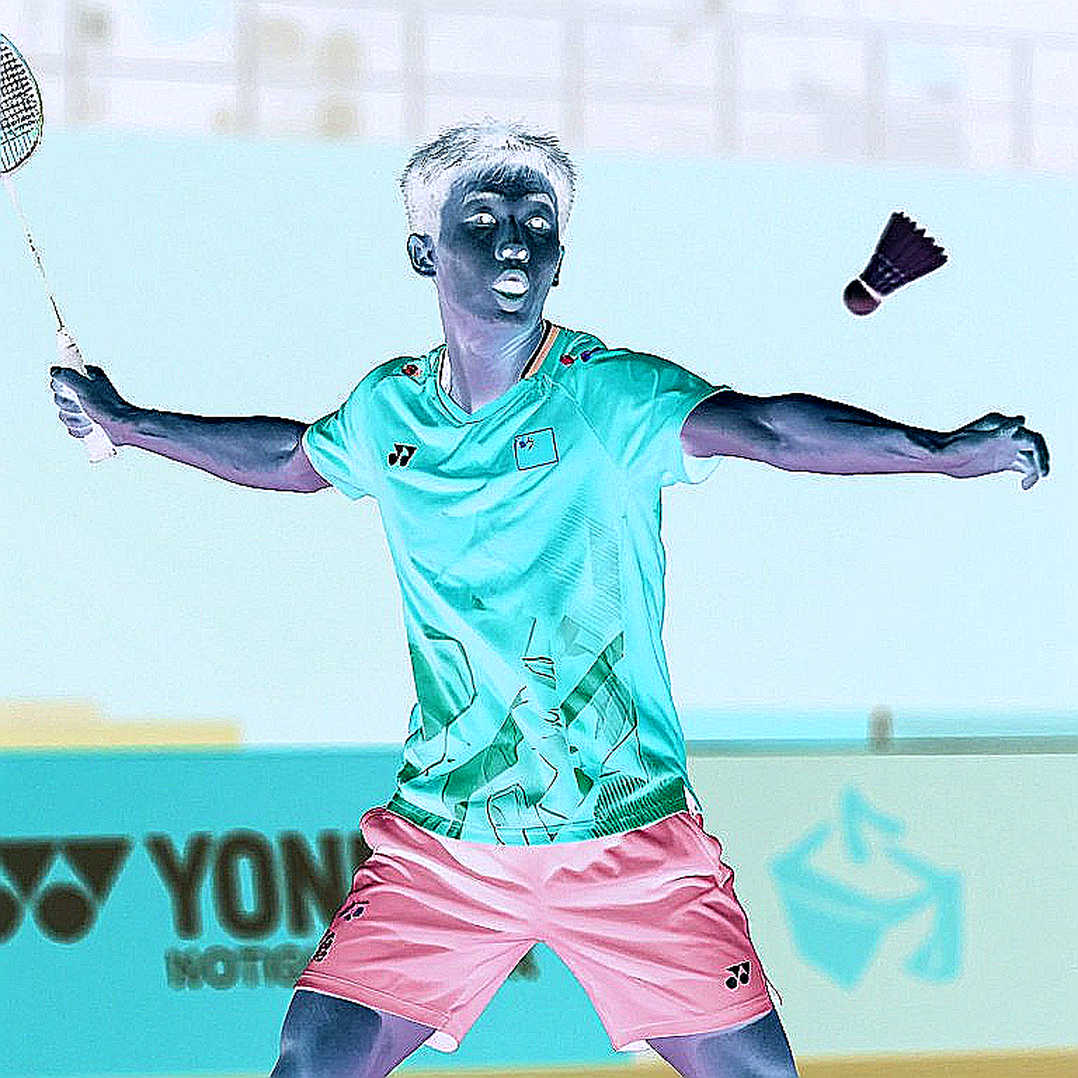 The Empty Analysis and the Red Flag of the Badminton Market