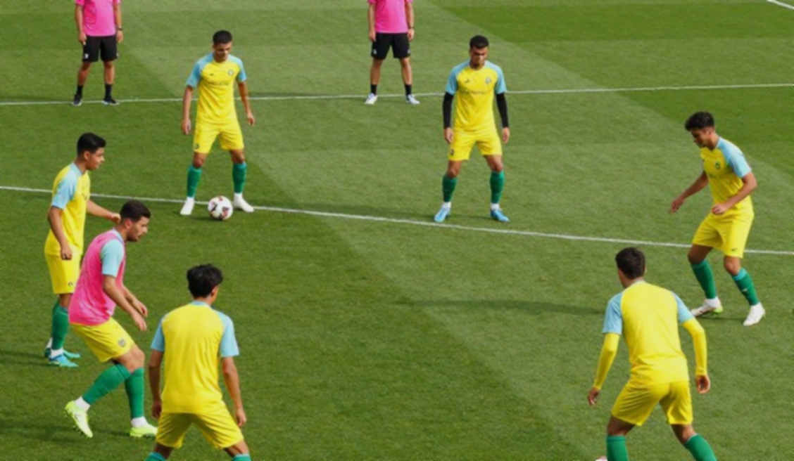Ronaldo, a 30-day ban and £215: the two factual errors that sink the report