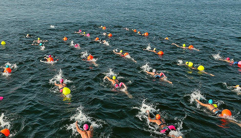 Sharks Swim Club tuyển giám đốc phát triển: Chiến lược xây dựng nền móng bơi lội từ nước Mỹ